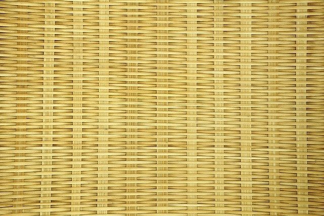 bamboo.jpg